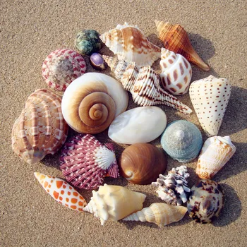 100g Paplūdimio mišriam natūraliam Seashell Pakabukai Mažas Įvairūs Myli Akvariumo Žuvų Bakas Kraštovaizdžio Namų Dekoro 